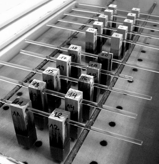 Wood hydrophobization by ammonium ionic liquids 41 Fig. 3. The samples during soaking in water (unprotected samples at the front) Rys. 3. Próbki podczas moczenia w wodzie (z przodu próbki niezabezpieczone) The samples were soaked in water at the temperature of 2 deg.