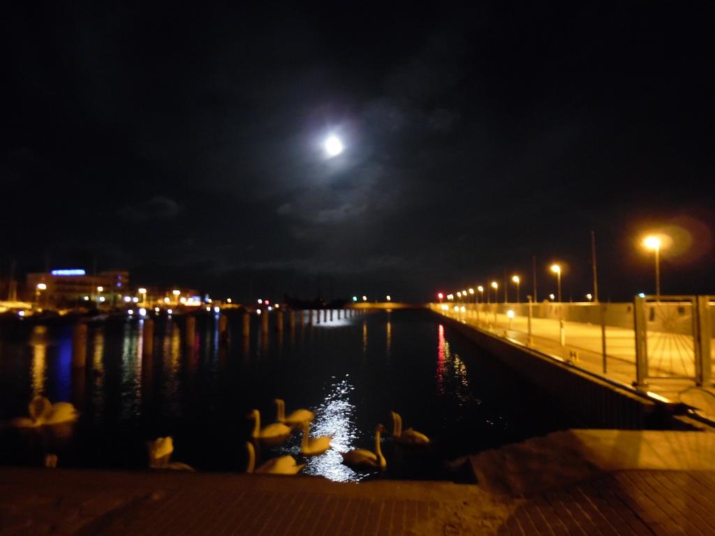 Tegoroczna Noc Muzeów, która odbędzie się w sobotę 19.05, odbywać się będzie pod hasłem tego, co niewyjaśnione i paranormalne.