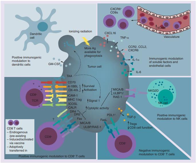 Immunologiczna