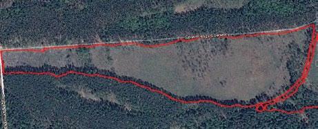 W wyniku opadów przekraczających średnią o 21 mm w 2009 r. i o 230 mm w 2010 r. zarastanie torfowiska zostało zahamowane. Zainicjowany został proces zamierania drzew. W 2011 r.