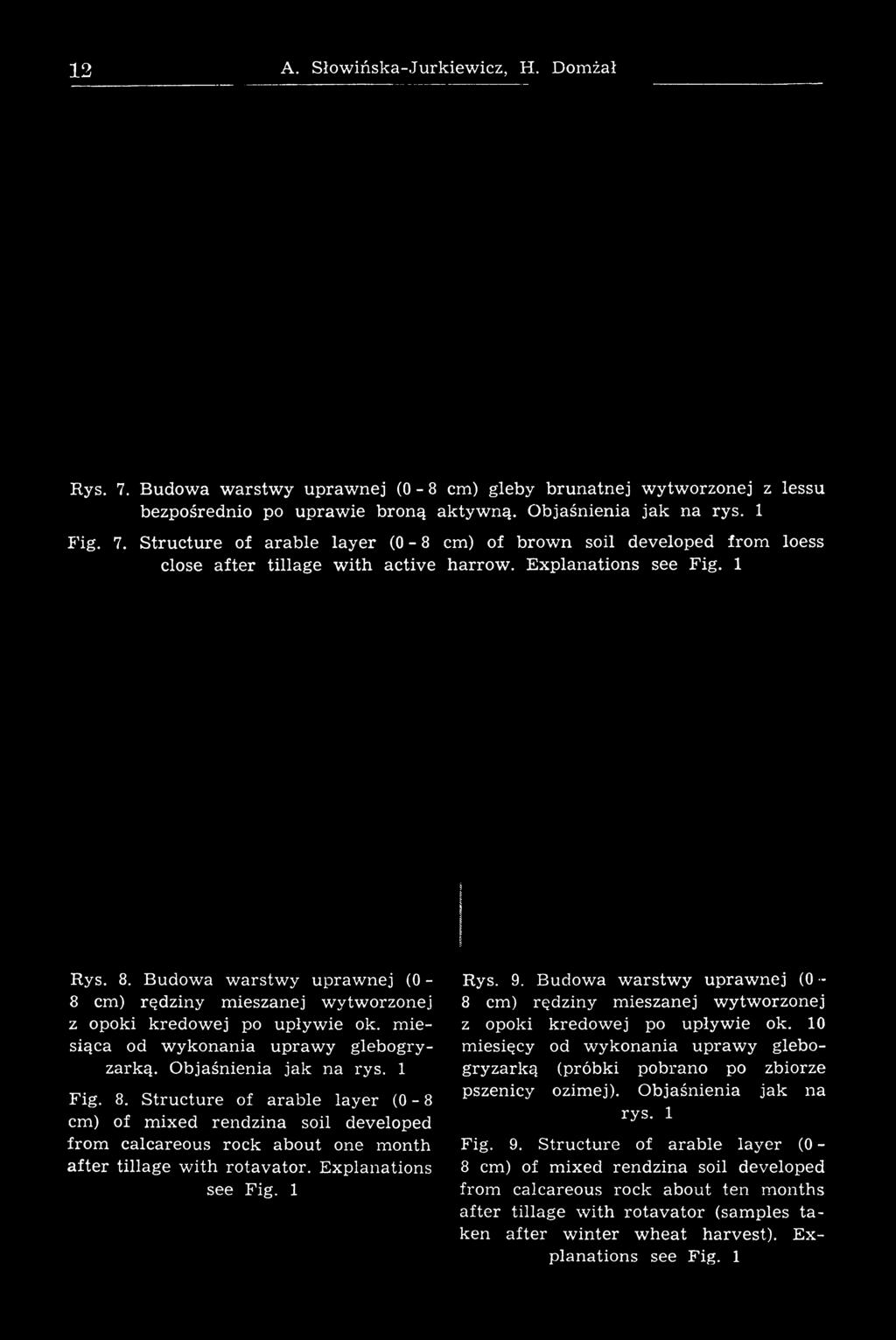 Budow a w arstw y upraw nej (0 «8 cm) rędziny mieszanej wytworzonej z opoki kredowej po upływie ok.