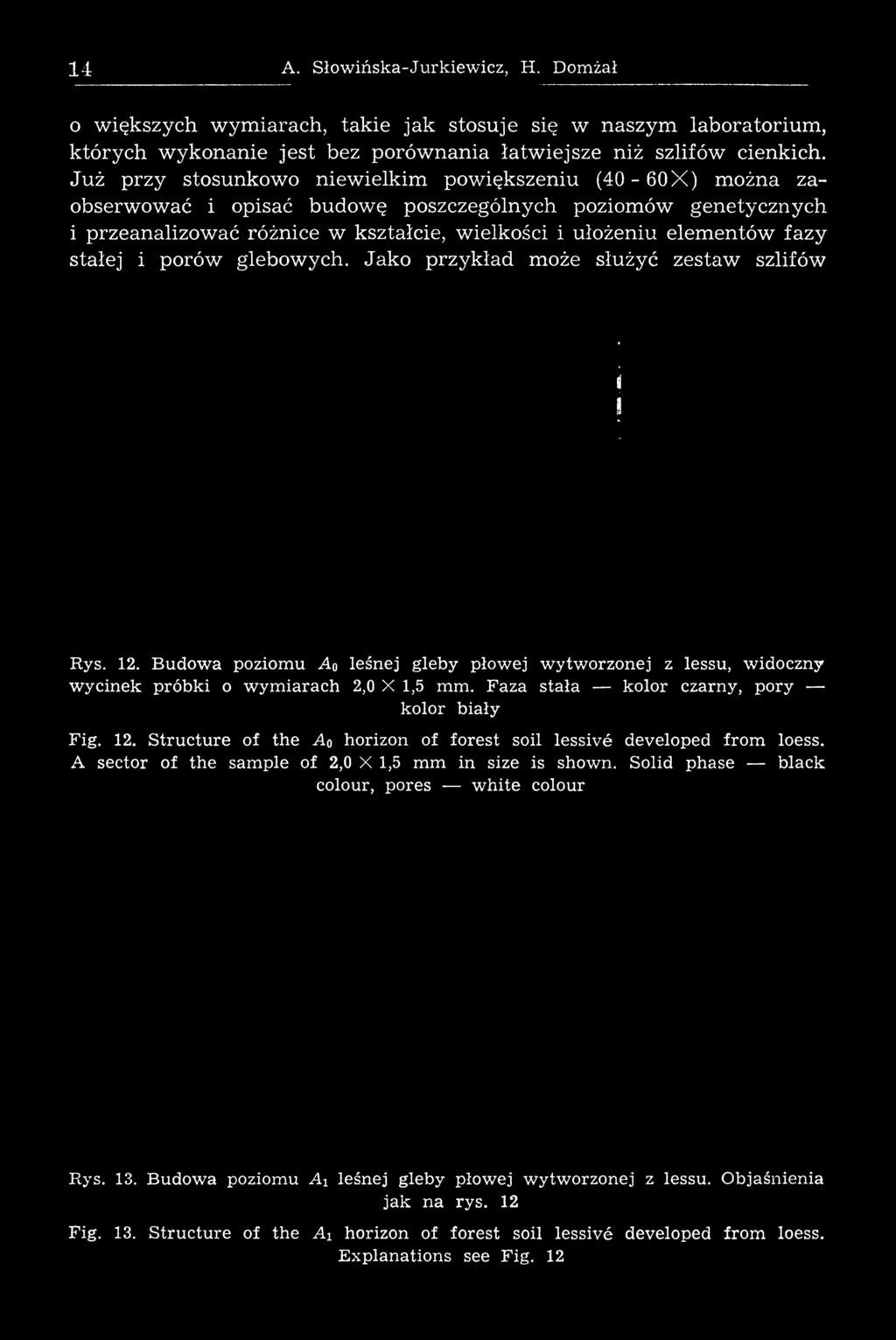 Budow a poziomu A 0 leśnej gleby płowej wytworzonej z lessu, widoczny wycinek próbki o wym iarach 2,0 X 1,5 mm. Faza stała kolor czarny, pory kolor biały Fig. 12.
