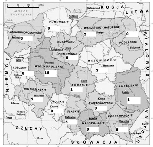 Katarzyna Hetman Znajomość i zainteresowanie branży turystycznej w Polsce.