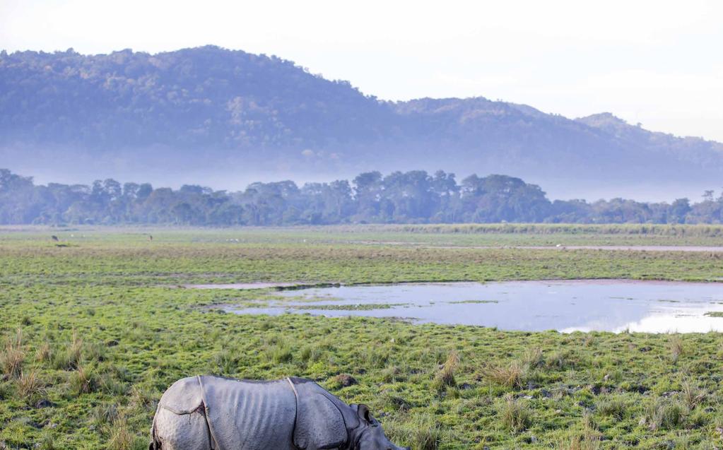 dzień 11: Trashigang - Samdrupjongkhar - Guwahati (275 km / 7,5-8 godz) Wczesne śniadanie i wyjazd na południe do Samdrupjongkhar, przejście graniczne, prze-jazd do Guwahati.