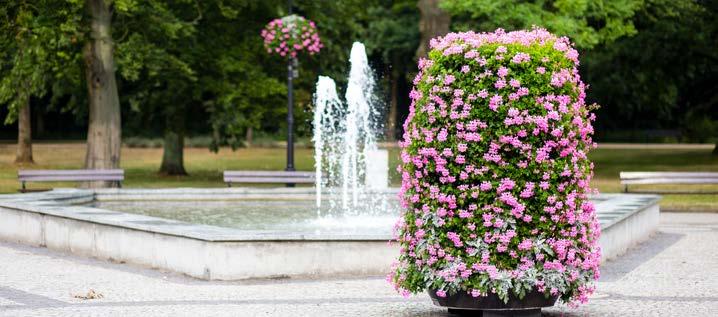 Plebiscyt Terra Flower Power Już od samego początku istnienia bloga organizujemy plebiscyt Terra Flower Power, którego celem jest wyłonienie i nagrodzenie miast