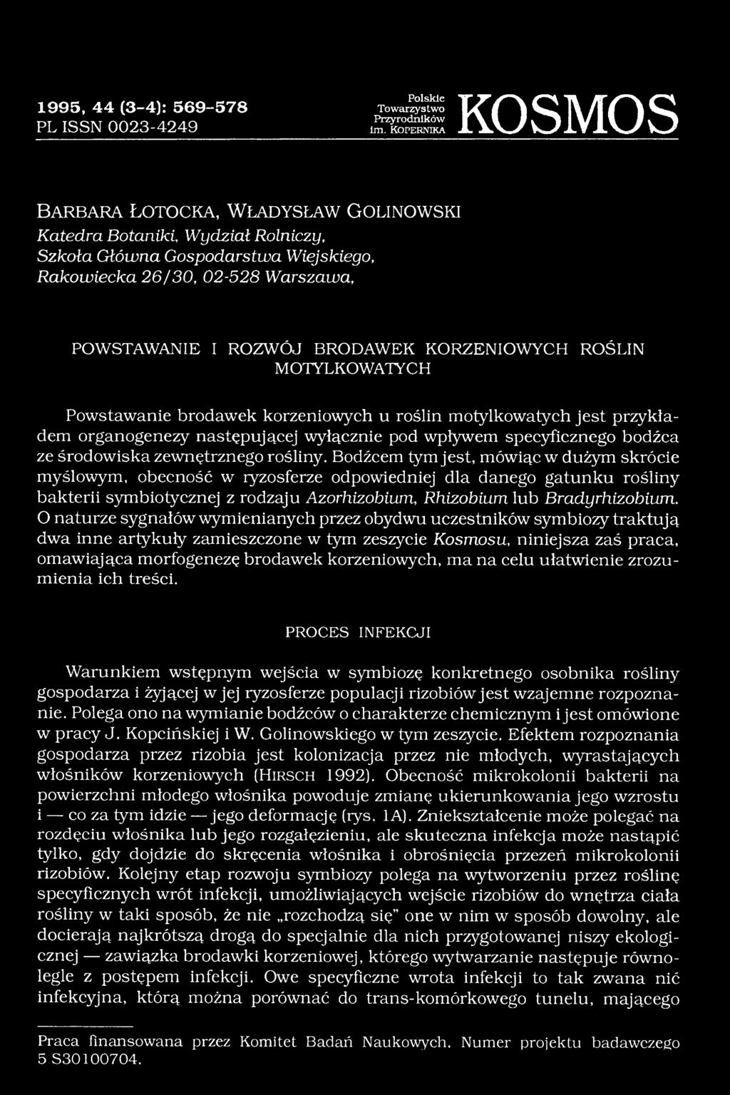 POWSTAWANIE I ROZWÓJ BRODAWEK KORZENIOWYCH ROŚLIN MOTYLKOWATYCH Powstawanie brodawek korzeniowych u roślin motylkowatych jest przykładem organogenezy następującej wyłącznie pod wpływem specyficznego