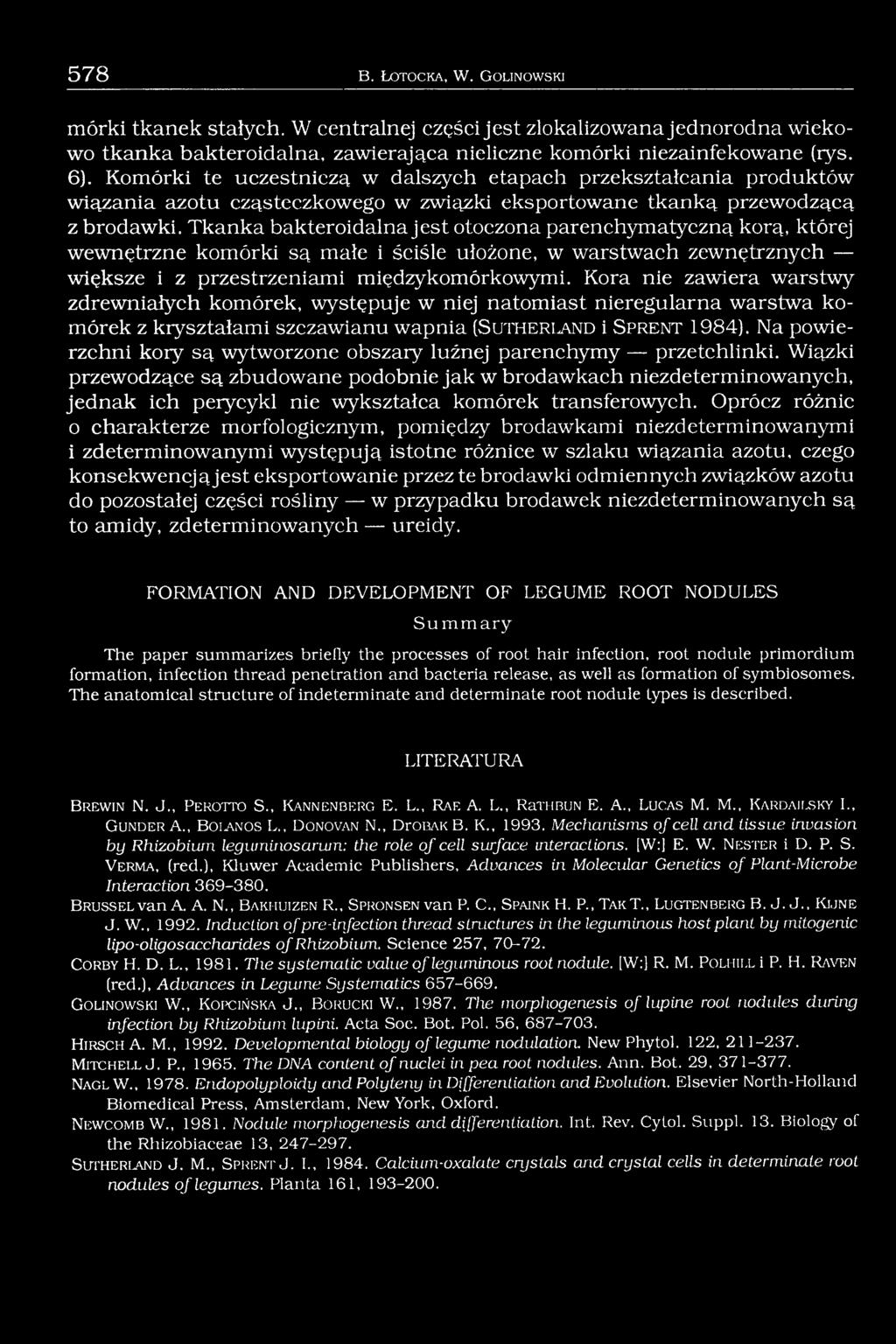 Tkanka bakteroidalna jest otoczona parenchymatyczną korą, której wewnętrzne komórki są małe i ściśle ułożone, w warstwach zewnętrznych większe i z przestrzeniami międzykomórkowymi.