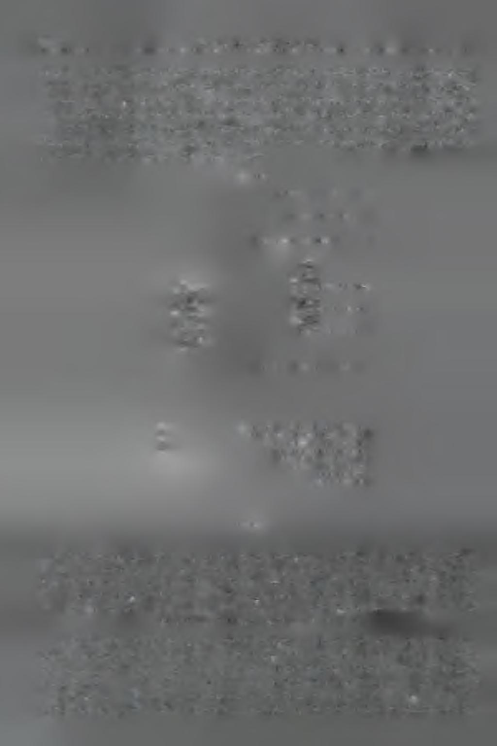 572 B. Ł o t o c k a, W.