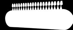 Vivodent S DCL set of 6 / SR Orthotyp S DCL set of 8 dowolne płytki Zęby nowej
