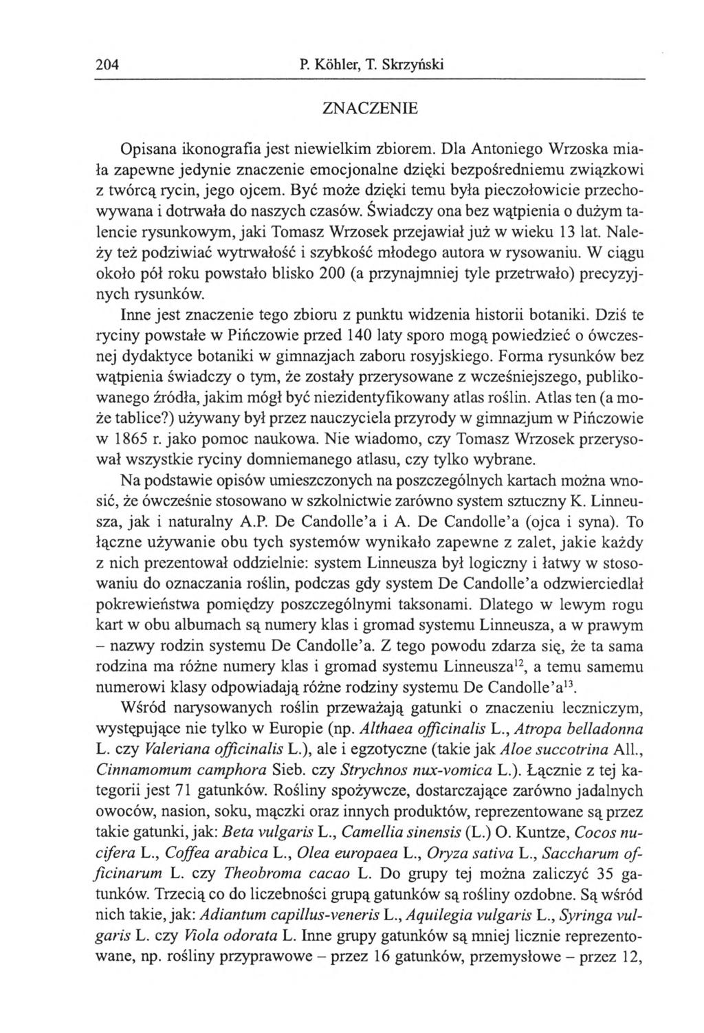 204 P. Köhler, T. Skrzyński ZNACZENIE Opisana ikonografia jest niewielkim zbiorem.