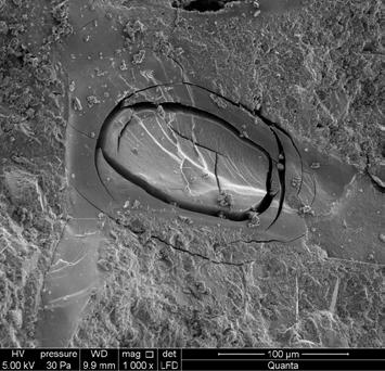 THE EVALUATION OF THE EFFECT OF CHALCEDONY DUST ON THE REACTION OF ALKALIS WITH REACTIVE... either, despite the fact that in the specimen with an additive content of 10% the expansion rate exceeded 0.