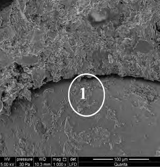 Załącznik do normy ASTM C227 wskazuje, że przekroczenie tej wielkości ekspansji powoduje procesy korozyjne, lecz jeśli w przeciągu 6 miesięcy ekspansja próbek nie przekroczy poziomu 0,01%, to