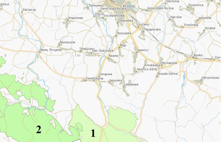 Umieszczony został on ponadto w Czerwonej Księdze Zwierząt jako gatunek o statusie zagrożony oraz na czerwonej liście IUCN kat. VU (ang. vulnerable narażony).