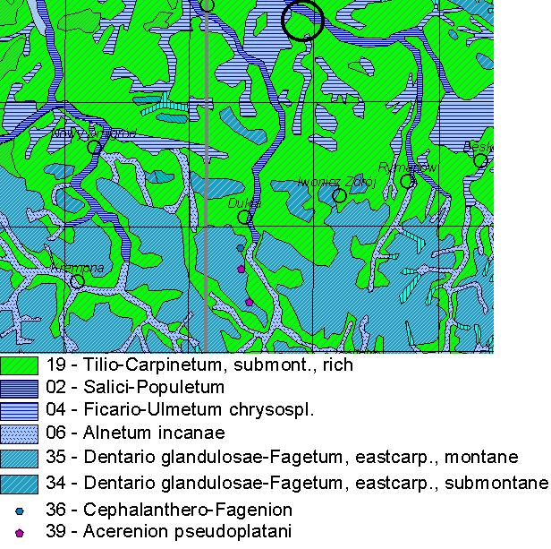 Potencjalna roślinność naturalna opisuje ekologiczną specyfikę siedlisk w stanie takim, w jakim się one w danym momencie znajdują, to jest z uwzględnieniem wszystkich istotnych i trwałych