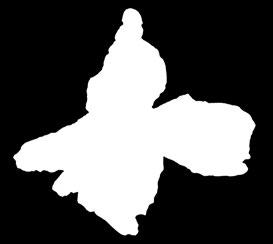 D146 
