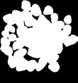 5907708 616838