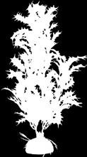 608901 2B40 