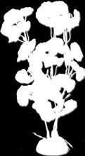 608949 2B43 