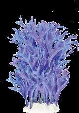 2F25 4F26