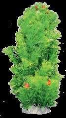 6F36 