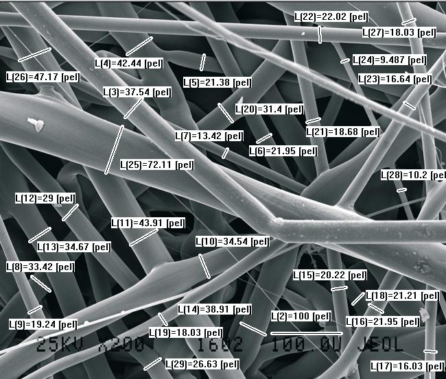 Z. Podsiad a-bulsa, A. Michalczewski, P. Wcis o, J. Ka u ka w óknin na bazie polimeru Celanex, chocia struktury uzyskane w czasie wykonywania prób laboratoryjnych by y wielce obiecuj ce.