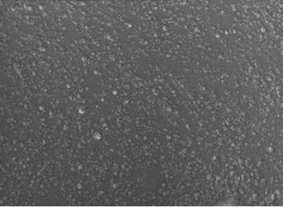 1. SEM image of EPM vulcanizate filled with 60 phr micro-sized (magnification 25 000 ) 2 m Rys. 4.