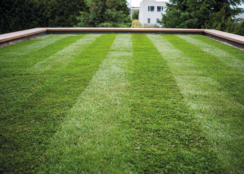 THERMANO MODERN THERMAL INSULATION ON GREEN ROOF solid floors for many years, without cracks and dampness absorbability <2% thanks to closed cell structure easy and fast assembly less material and