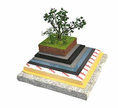 (shrubbery, small trees and large trees). INTENSIVE ROOFS Intensive green roofs feature what people call "typical" plants: perennials, shrubs, and sometimes trees.