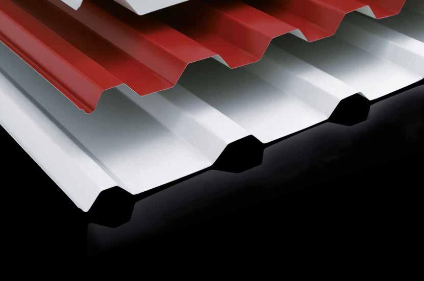 TRAPEZOIDAL SCREEN SHEETS FOR WALLS AND ROOFS universal wall and roof elements (sheets may be selected to fit the existing construction panels) false ceilings (optical profile) economical and light