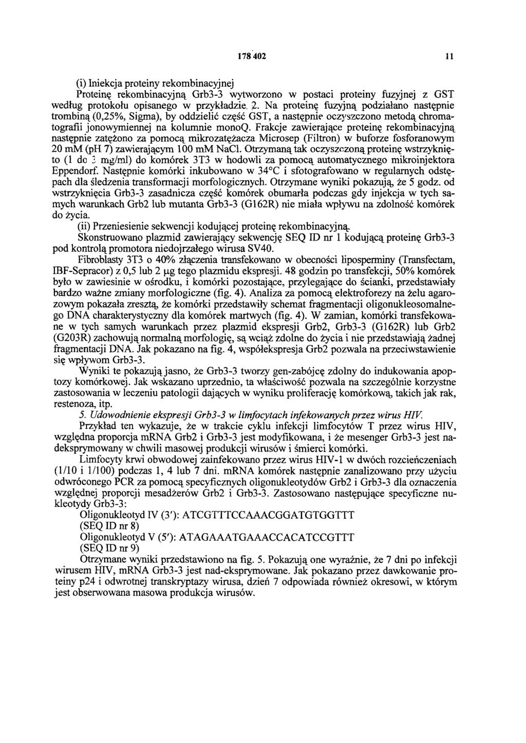 178 402 11 (i) Iniekcja proteiny rekombinacyjnej Proteinę rekombinacyjną Grb3-3 wytworzono w postaci proteiny fuzyjnej z GST według protokołu opisanego w przykładzie. 2.