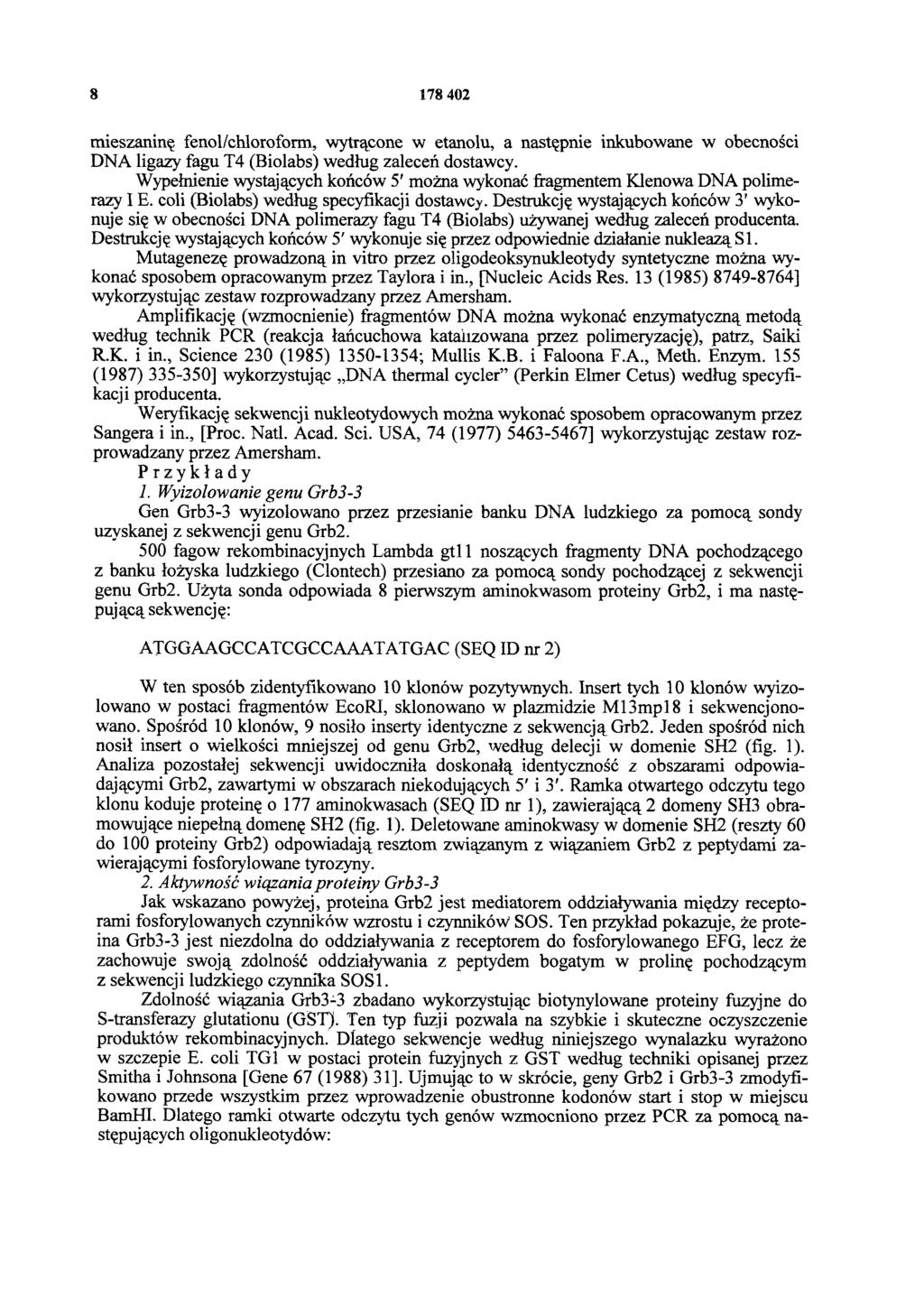 8 178 402 mieszaninę fenol/chloroform, wytrącone w etanolu, a następnie inkubowane w obecności DNA ligazy fagu T4 (Biolabs) według zaleceń dostawcy.