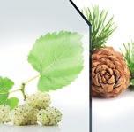 Elementy konstrukcji A B C D E wypełnienie termoizolacyjne blacha ocynkowana ogniowo okleina PCV drewniane klocki wzmacniające otwory na bolce antywyważeniowe * Klamka i rozeta Haga dostępne są w