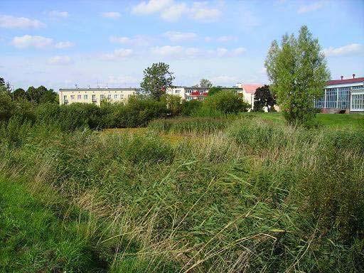 Zbiornik antropogeniczny