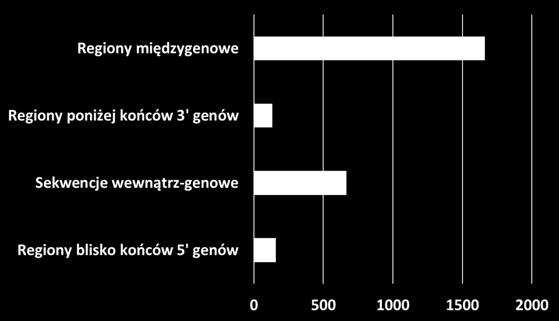 Większość miejsc typu tdms była zlokalizowana w regionach pomiędzy genami oraz w dalszej kolejności w sekwencjach wewnątrz genów (rys. 2).