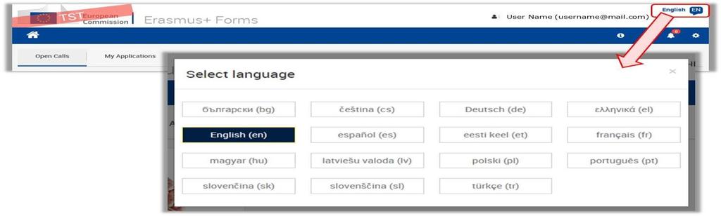 należy wybrać formularz Projekty współpracy szkół (School Exchange Partnerships) Językiem domyślnym jest