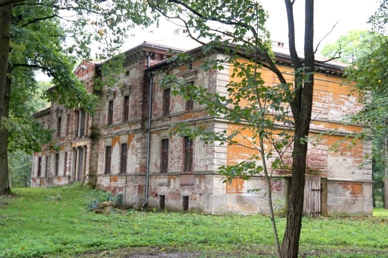 północnej znajduje się klomb otoczony żywopłotem z bukszpanu, obecnie zaniedbany, zarośnięty samosiewem.