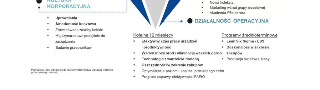 Grupa Kapitałowa stawia sobie za cel realizację dalszego wzrostu w obszarze produktów o wartości dodanej, które generują najwyższe marże i które odróżniają Pfleiderera od konkurencji.
