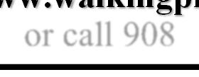 us, or call 908-637-4269. Dear Parishioners!