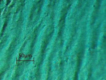 Relatywna zmiana długości [%] 0,5 0,4 0,3 0,2 0,1 0 0 100 200 300 400 500 600 SPB-N12 PBG81 Temperatura [ C] Rys. 70. Porównanie krzywych dylatometrycznych szkieł SPB-N12 i PBG81. a) b) c) Rys. 71.