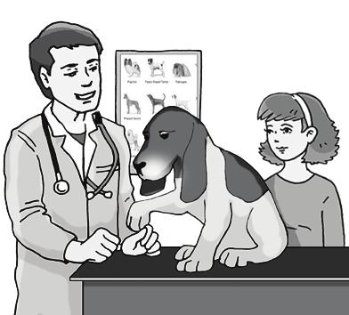 Che problema c è con il tuo cane? 1.