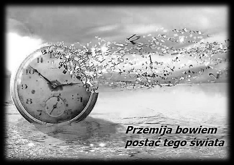 Nie było by w tym nic dziwnego, gdyby nie fakt, że przyjaciel z pieskiem na smyczy szedł zygzakiem, od drzewka do drzewka. Witaj, przyjacielu, dokąd idziesz? - zagadnął. Nie wiem, zapytaj mojego psa!