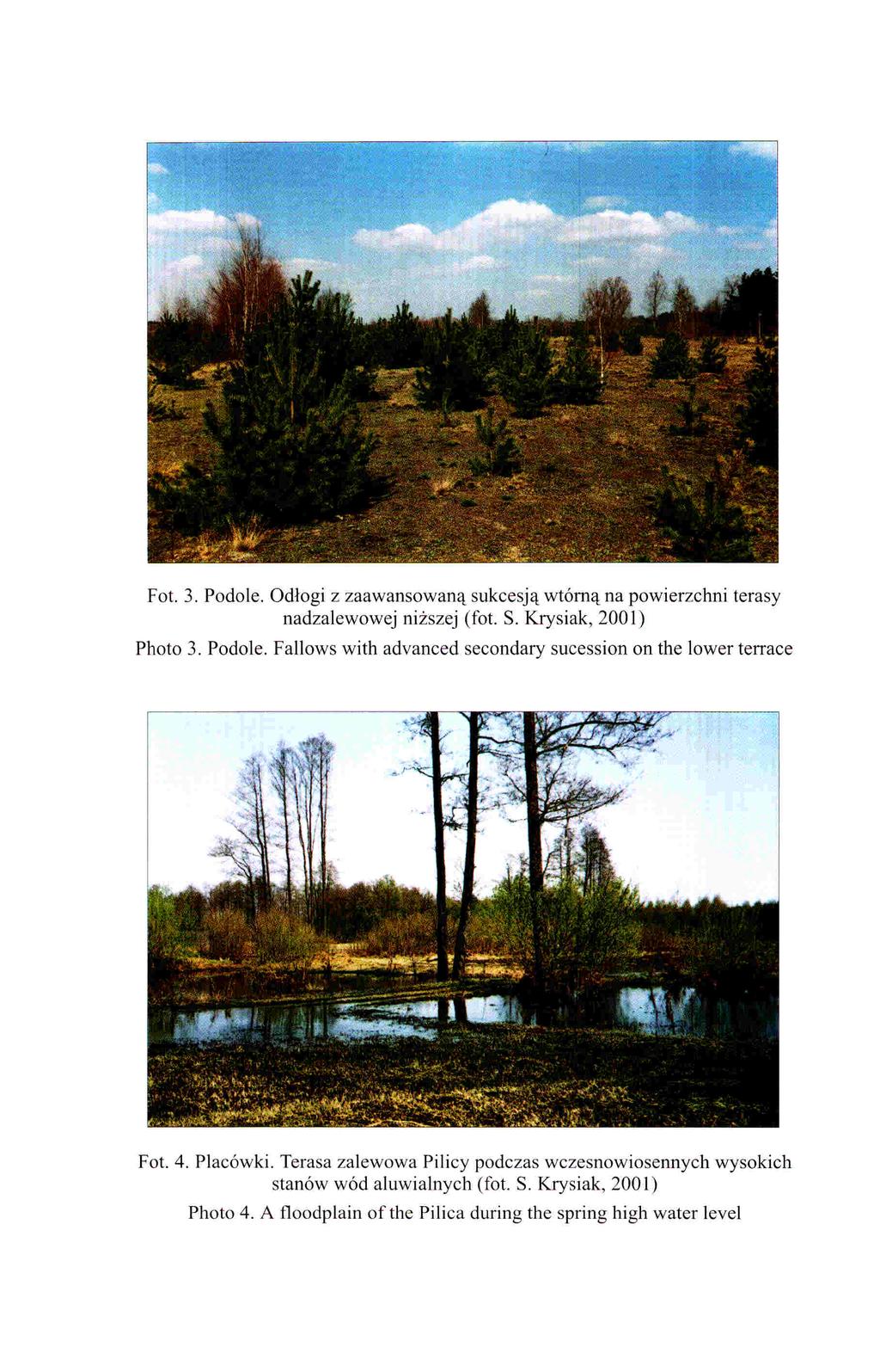 Fot. 3. Podole. Odłogi z zaawansowaną sukcesją wtórną na powierzchni terasy nadzalewowej niższej (fot. S. Krysiak, 2001) Photo 3. Podole. Fallows with advanced secondary sucession on the lower terrace Fot.