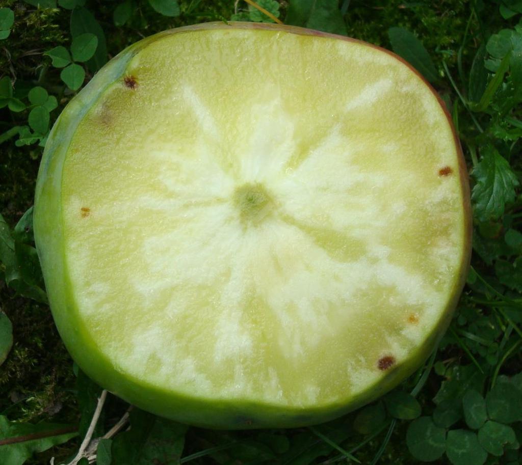 spowodowana niedoborem wapnia (fot. P.