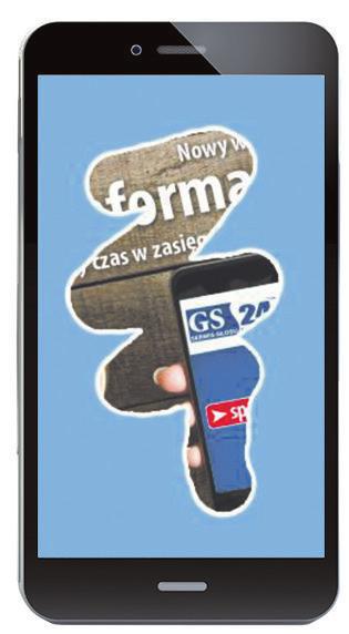 Gemius/PBI, 2017-11 źródło: Gemius/PBI, 2017-11