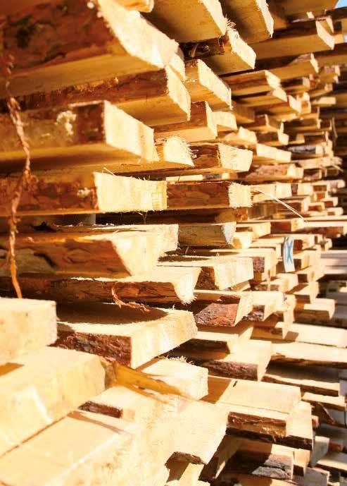 Duże możliwości produkcyjne Dziś firma dysponuje nie tylko nowoczesnymi zakładami produkcyjnymi, ale także własnym centrum badawczo - projektowym oraz flotą transportową liczącą niemal 100 samochodów