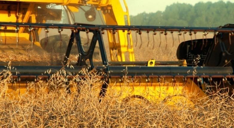 Oficjalne nawiązanie współpracy z KZPRiRB pozwoli nam wspólnie dbad o rozwój polskiego sektora rolno-spożywczego poprzez wspieranie rodzimej produkcji rzepaku oraz opracowywanie optymalnych rozwiązao
