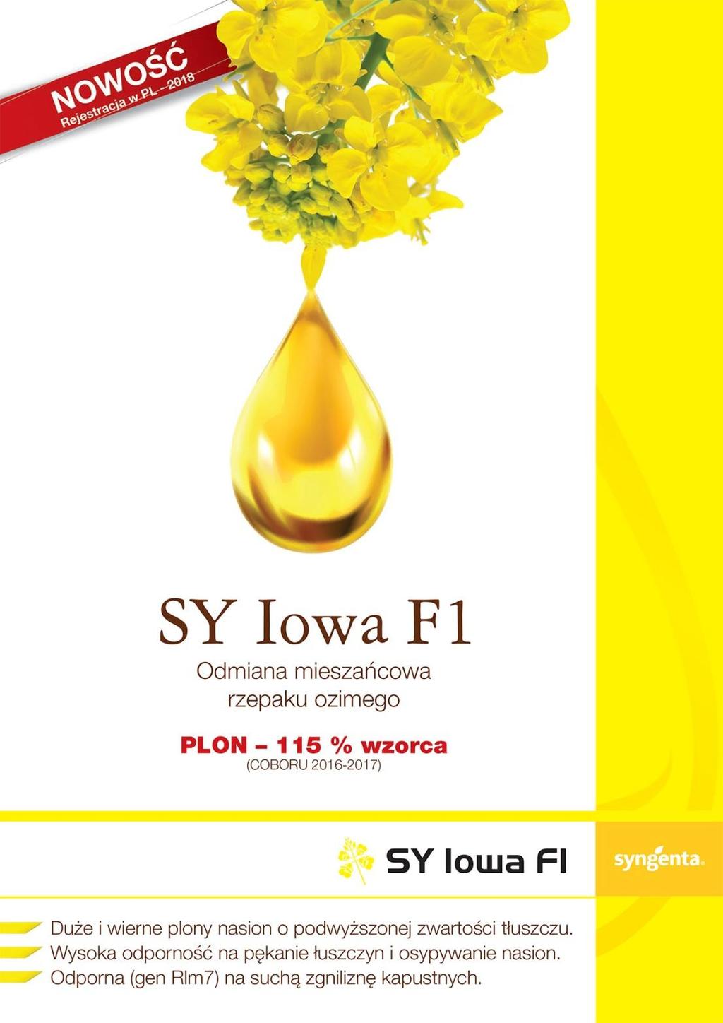 Więcej informacji na stronie: