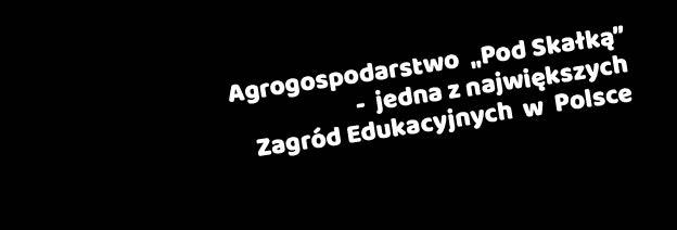(100km) 42-310 Przybynów, ul.