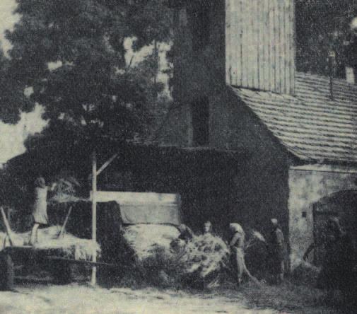 bracia Bartek i Jaś Kulig (Gzikowie). Po 1870 roku można było już nabyć pług żelazny, wyrabiany przez miejscowych kowali, a w późniejszym czasie pług fabryczny na kolcach (koleszny).