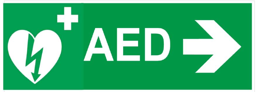 Obecnie dąży się do lokalizacji AED w miejscach publicznych takich jak: zakłady pracy, urzędy, hotele, lotniska, centra handlowe, stacje benzynowe, stadiony, kasyna, poczty, muzea, uzdrowiska oraz w